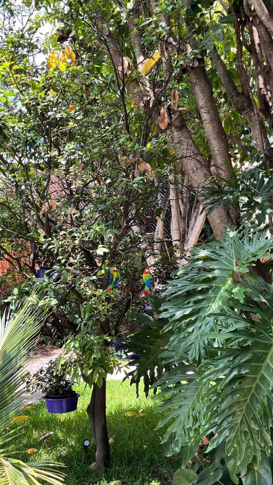 Casa Calnacazco Tepoztlán Exterior foto